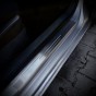 IMG_E5255.JPG